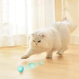 Juguete Gato Bola Interactivo smart