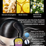 PACK SHAMPOO Y SERUM ANTICAIDA JENGIBRE