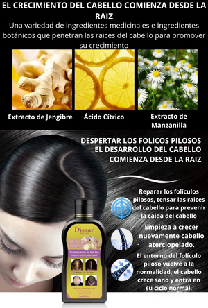 PACK SHAMPOO Y SERUM ANTICAIDA JENGIBRE