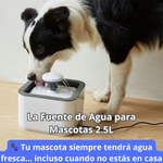 🐾 Tu mascota siempre tendrá agua fresca… incluso cuando no estás en casa - Fuente De Agua Para Mascota 2.5 L